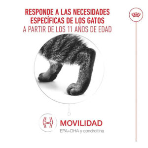 AGEING 11+ MOUSSE 85 GR LATA