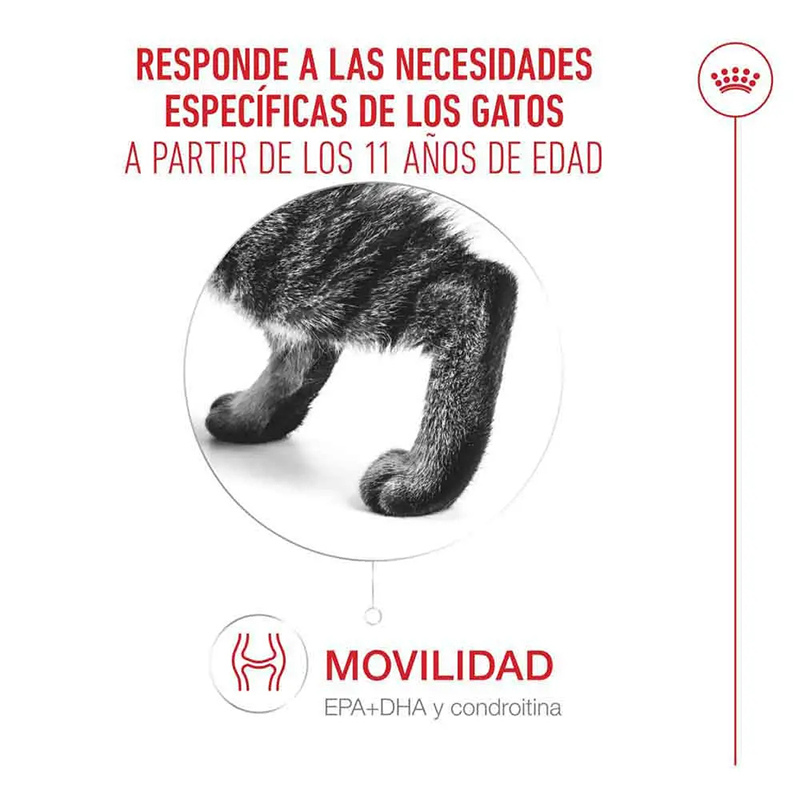 AGEING 11+ MOUSSE 85 GR LATA Ageing 11+ Mousse 85 Gr Lata