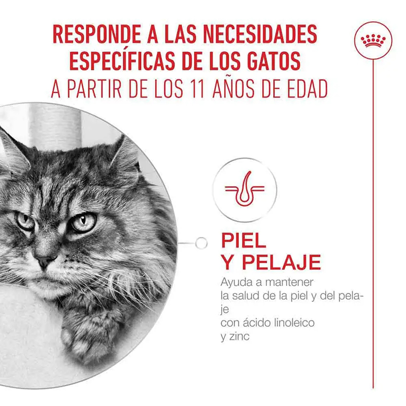 AGEING 11+ MOUSSE 85 GR LATA Ageing 11+ Mousse 85 Gr Lata