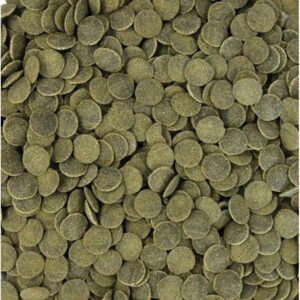 Comida para peces granel 1 kg Alga Wafers Ancistrus