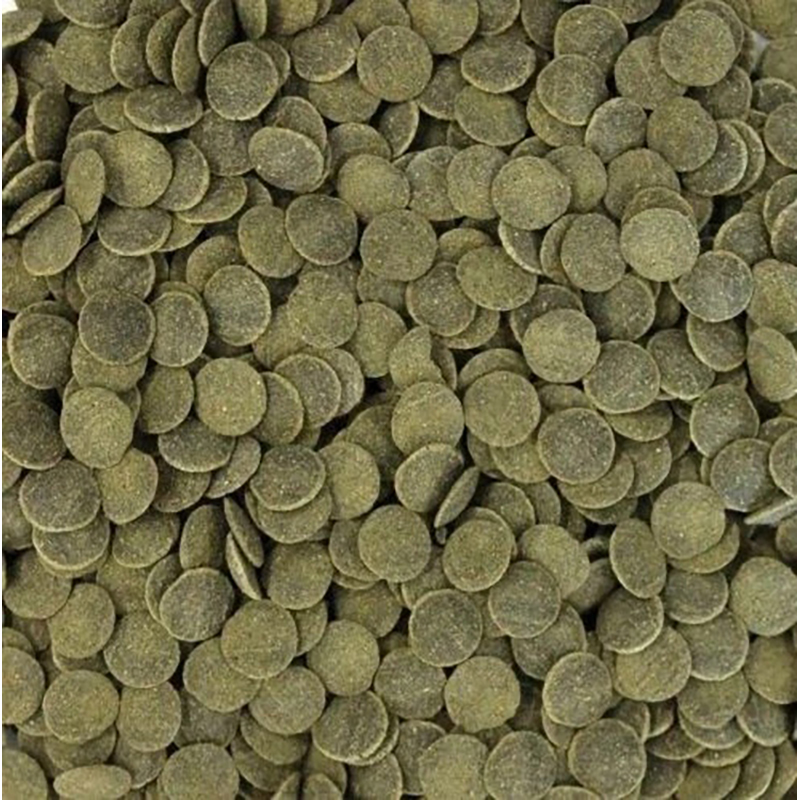Comida para peces granel 1 kg Alga Wafers Ancistrus Comida Para Peces Granel 1 Kg Alga Wafers Ancistrus