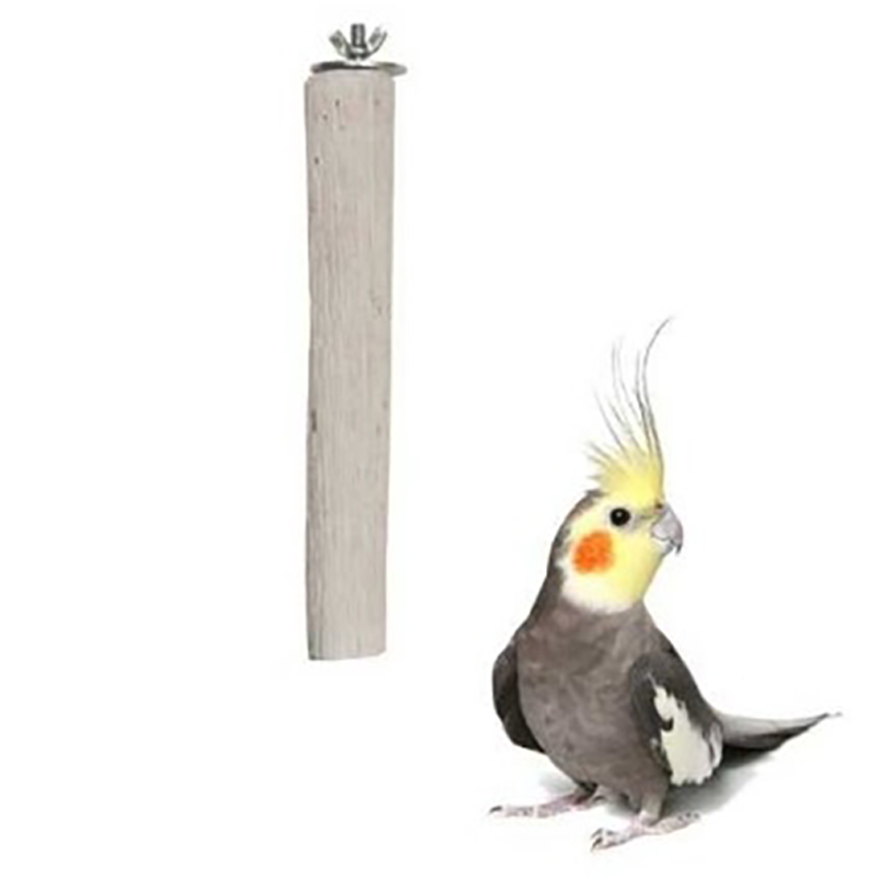 Percha de Calcio para Loros Benelux Ø30 mm – 23 cm Percha De Calcio Para Loros Benelux Ø30 Mm – 23 Cm