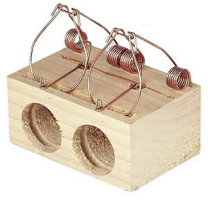 Copele Ratonera de Madera 2 Agujeros Grande para Ratas Ø50 mm