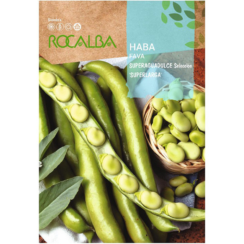 Haba Superaguadulce Superlarga 1 KG Haba Superaguadulce Superlarga 1 Kg